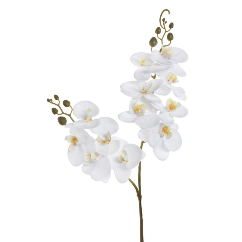 STORCZYK DWA PĘDY 64CM ECO031 RT WHITE