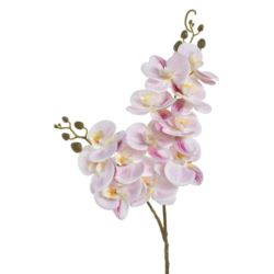 STORCZYK DWA PĘDY 64CM ECO031 RT POWDER PINK