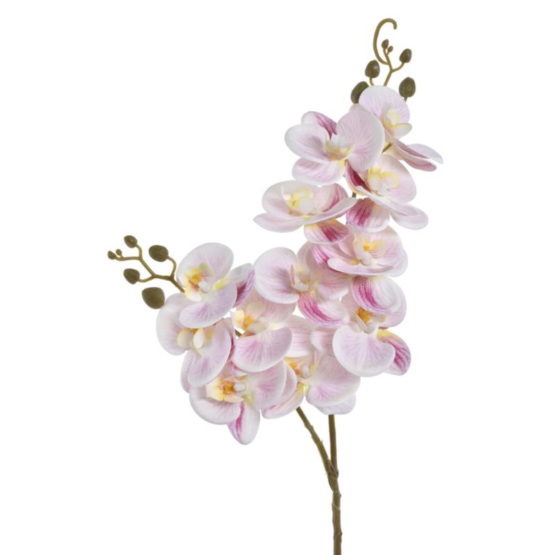 STORCZYK DWA PĘDY 64CM ECO031 RT POWDER PINK