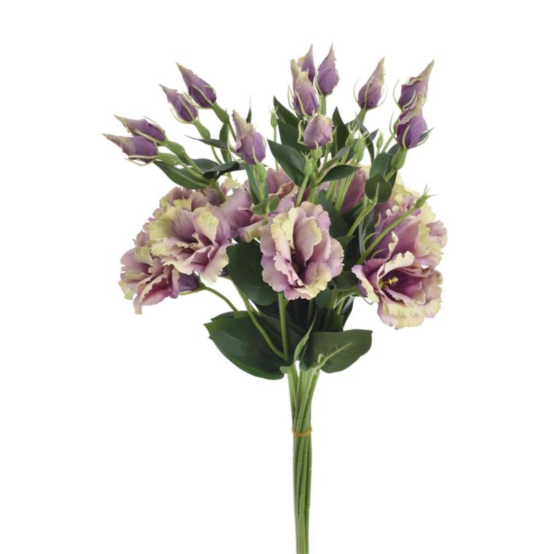 EUSTOMA NA PIKU 47CM SUN357 DIRTY VIOLET GREEN