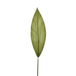 LIŚĆ ASPIDISTRA 75CM GREE068 RT GREEN
