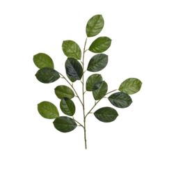 OLCHA LIŚĆ GAŁĄZKA 78CM GREE024 LT GREEN