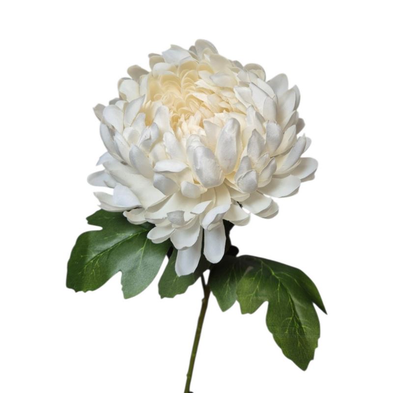 CHRYZANTEMA POJEDYNCZA GAŁĄZKA 77CM CREAM WHITE