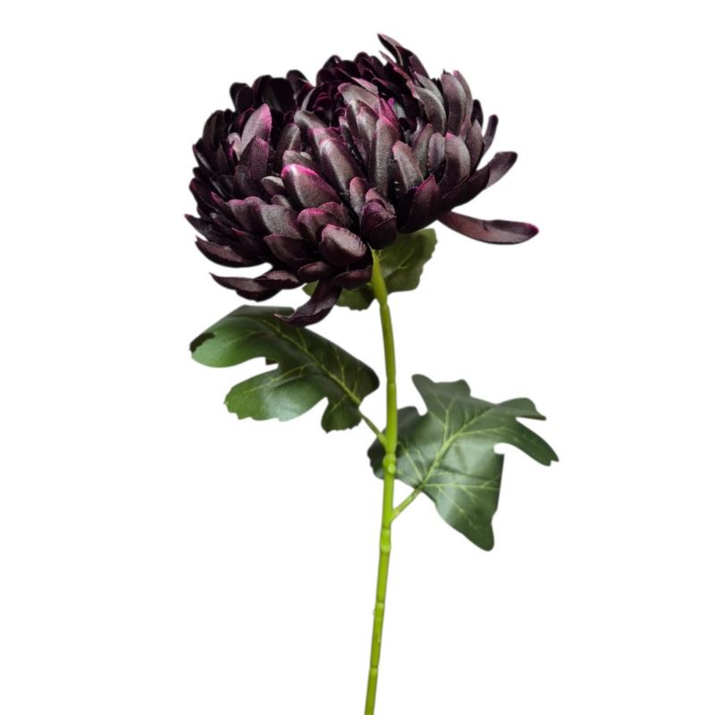 CHRYZANTEMA POJEDYNCZA GAŁĄZKA 77CM DEEP PURPLE