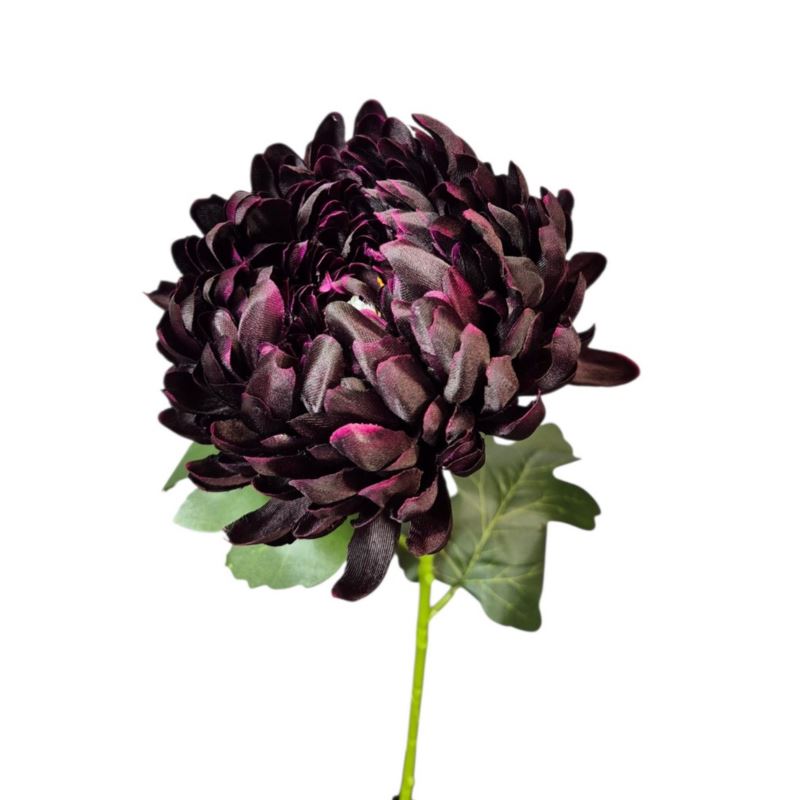 CHRYZANTEMA POJEDYNCZA GAŁĄZKA 77CM DEEP PURPLE