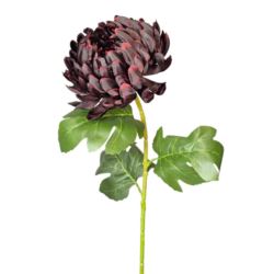 CHRYZANTEMA POJEDYNCZA GAŁĄZKA 77CM BURGUND OMBRE