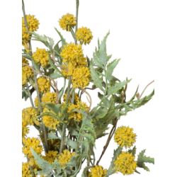 POLNY BUKIET Z OSTAMI CER90-21007 69CM YELLOW