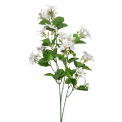 JAŚMINOWIEC GAŁĄZKA 88CM WHITE