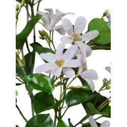 JAŚMINOWIEC GAŁĄZKA 88CM WHITE JAŚMINOWIEC GAŁĄZKA 88CM WHITE