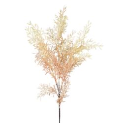 ASPARAGUS JESIENNY 82CM CREAM PINK