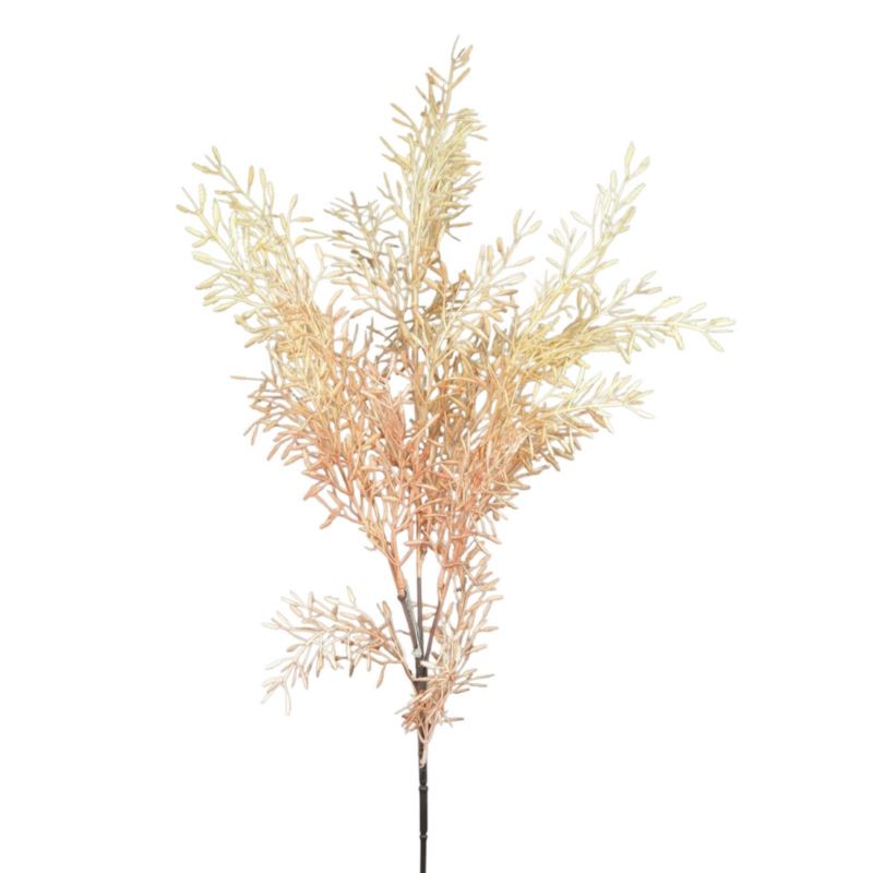 ASPARAGUS JESIENNY 82CM CREAM PINK