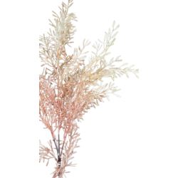 ASPARAGUS JESIENNY 82CM CREAM PINK