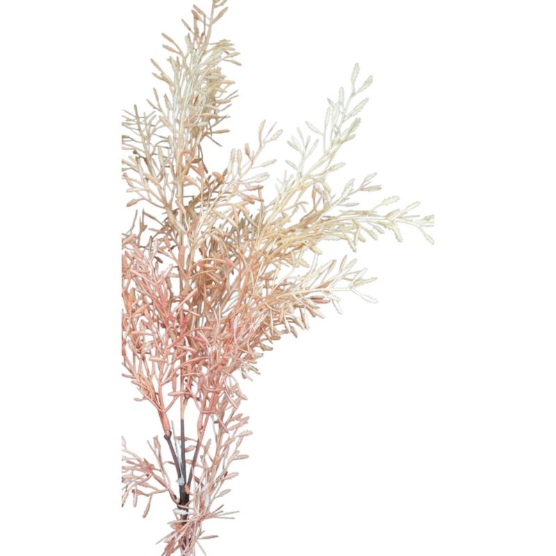 ASPARAGUS JESIENNY 82CM CREAM PINK