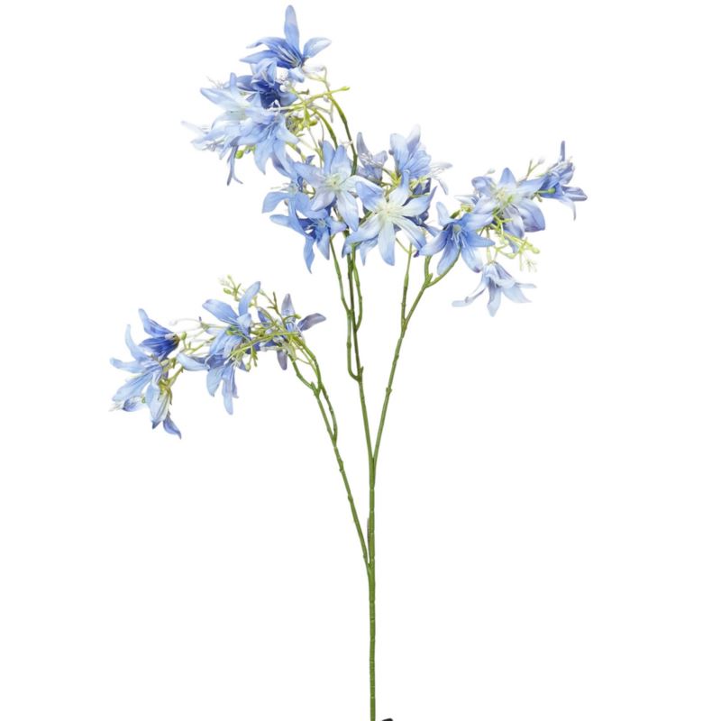 HIACYNT KALIFORNIJSKI 90CM BLUE