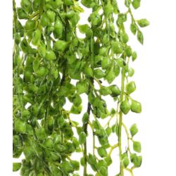 ROŚLINA SZTUCZNA ZWIS SENECIO x3 75CM GREEN