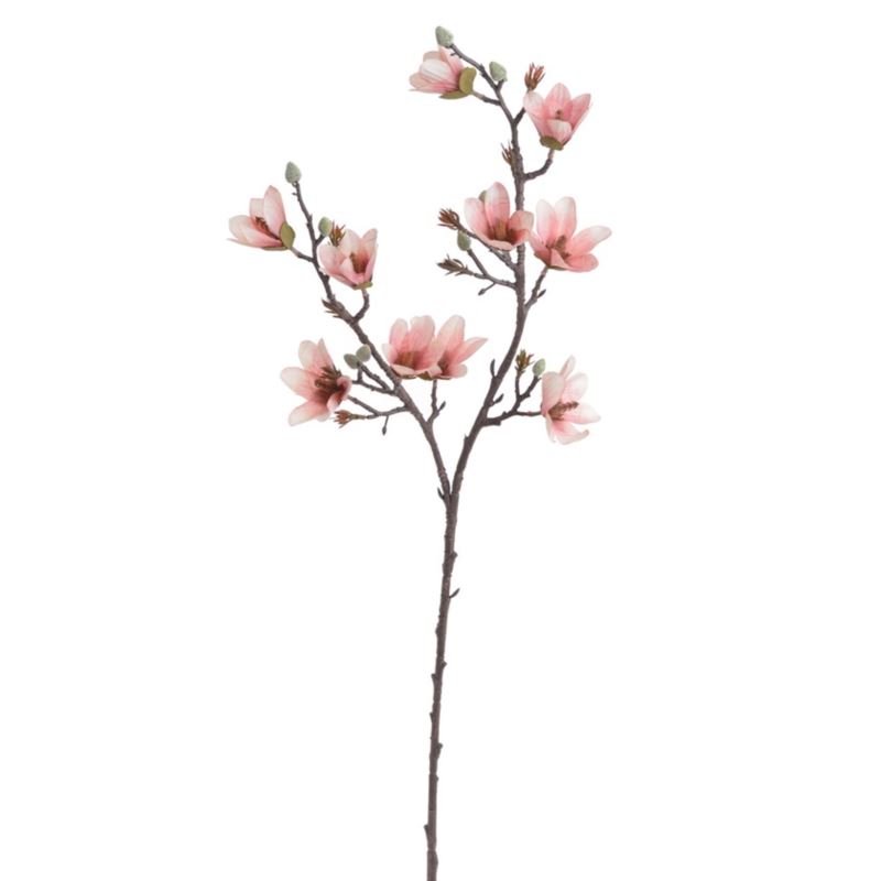 MAGNOLIA DROBNOKWIATOWA GAŁ. 90CM AUTUMN CRM PK