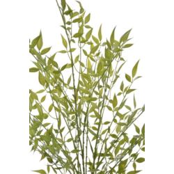 NANDINA BUKIET DROBNE LISTKI 78CM JUN117 GREEN