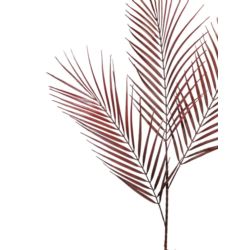 PALMA AREKA SZTUCZNA GAŁĄZKA 97CM CHOCOLATE