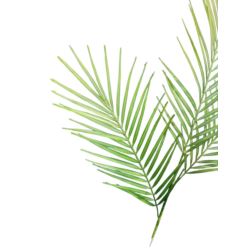 PALMA AREKA SZTUCZNA GAŁĄZKA 97CM GREEN
