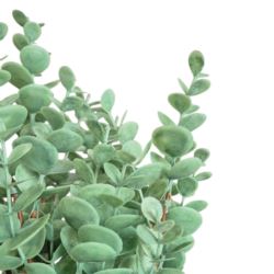 EUKALIPTUS W BUKIECIE 45CM LT POWDER GREEN