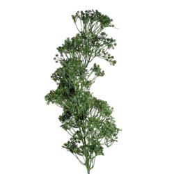 RZEŻUCHA ŁĄKOWA GAŁĄZKA 64 CM GREEN