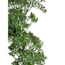 RZEŻUCHA ŁĄKOWA GAŁĄZKA 64 CM GREEN