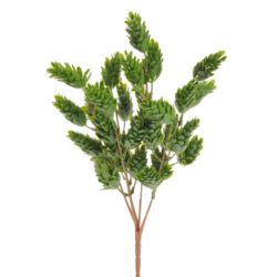 CHMIEL BUKIET DODATEK 32CM GREEN