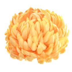 Chryzantema głowa 15cm ART037 dr yellow