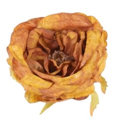 RÓŻA DZIKA VINTAGE – GŁÓWA 9CM BROWN ORANGE