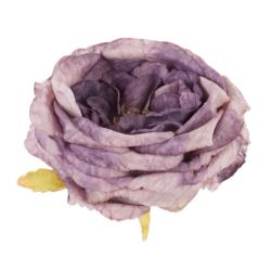 RÓŻA DZIKA VINTAGE – GŁÓWA 9CM OLD VIOLET