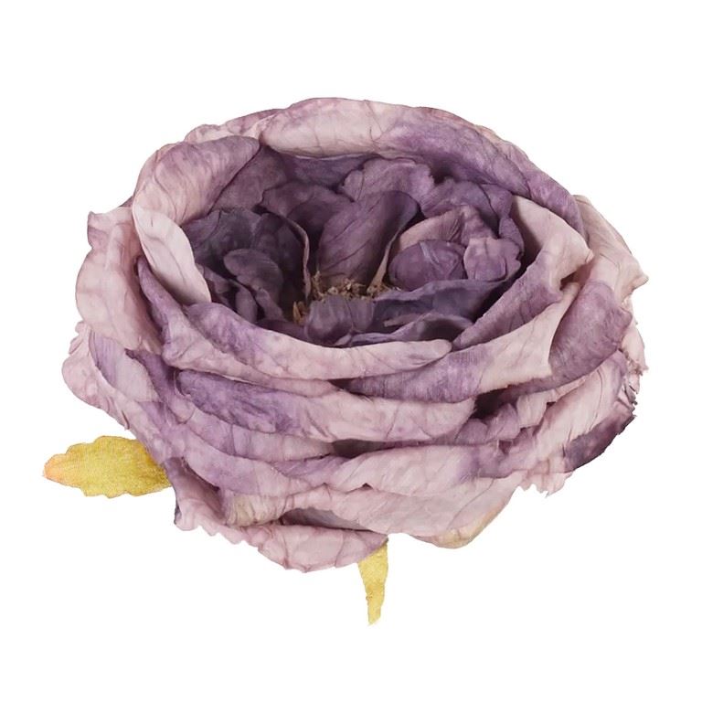 RÓŻA DZIKA VINTAGE – GŁÓWA 9CM OLD VIOLET