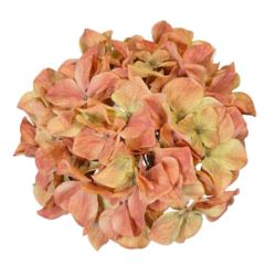 HORTENSJA GŁOWA 19CM B34-04 GOLD ORANGE GREEN