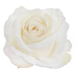 RÓŻA ROZWINIĘTA GŁOWA VITAGE 10CM TAJ1023 VANILLA