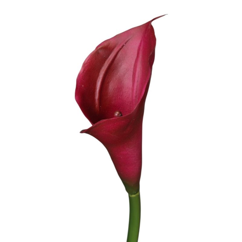 CALLA - GUMA RURKA M 72CM C33 RED