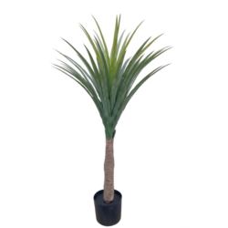 NOLINA DRZEWKO W DONICZCE 110CM GREEN