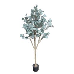 EUKALIPTUS DRZEWKO DON CH19332219GR 150CM POW.GRN
