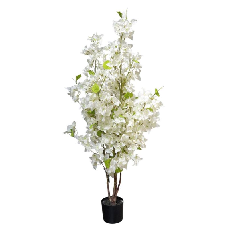 BUGENWILLA W DONICZCE 115CM WHITE