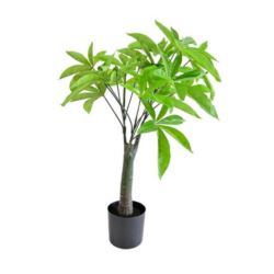 PACHIRA DRZEWO W DONICZCE 65CM 17 LIŚCI GREEN