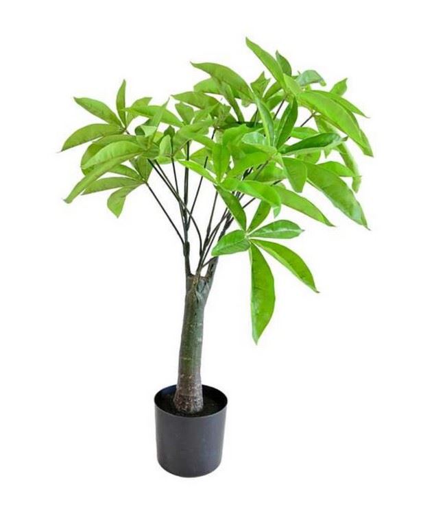 PACHIRA DRZEWO W DONICZCE 65CM 17 LIŚCI GREEN