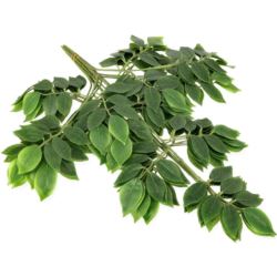 LI.ŚĆ WIŚNIA GAŁĄZKA 59CM 2878P GREEN