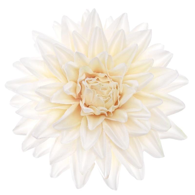 DALIA WYROBOWA 11CM SUN905 CREAM