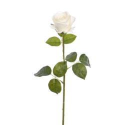 RÓŻA NA ŁODYDZE 68CM TAJ1029 RT CREAM