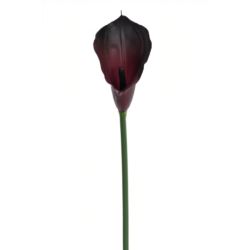 CALLA GUMA 72 CM ANA1013 DR CHERRY