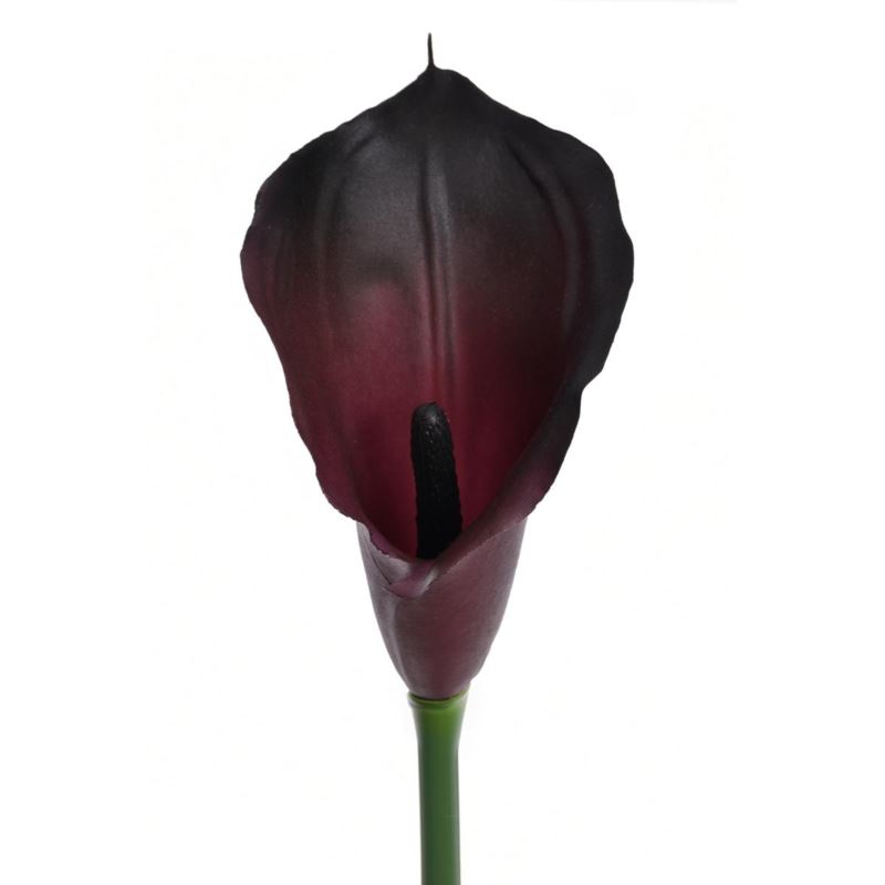 CALLA GUMA 72 CM ANA1013 DR CHERRY