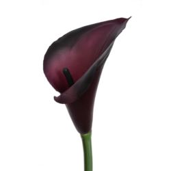 CALLA GUMA 72 CM ANA1013 DR CHERRY