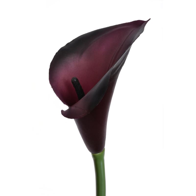 CALLA GUMA 72 CM ANA1013 DR CHERRY