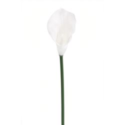 CALLA GUMA 72 CM ANA1013 WHITE