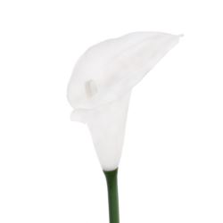 CALLA GUMA 72 CM ANA1013 WHITE