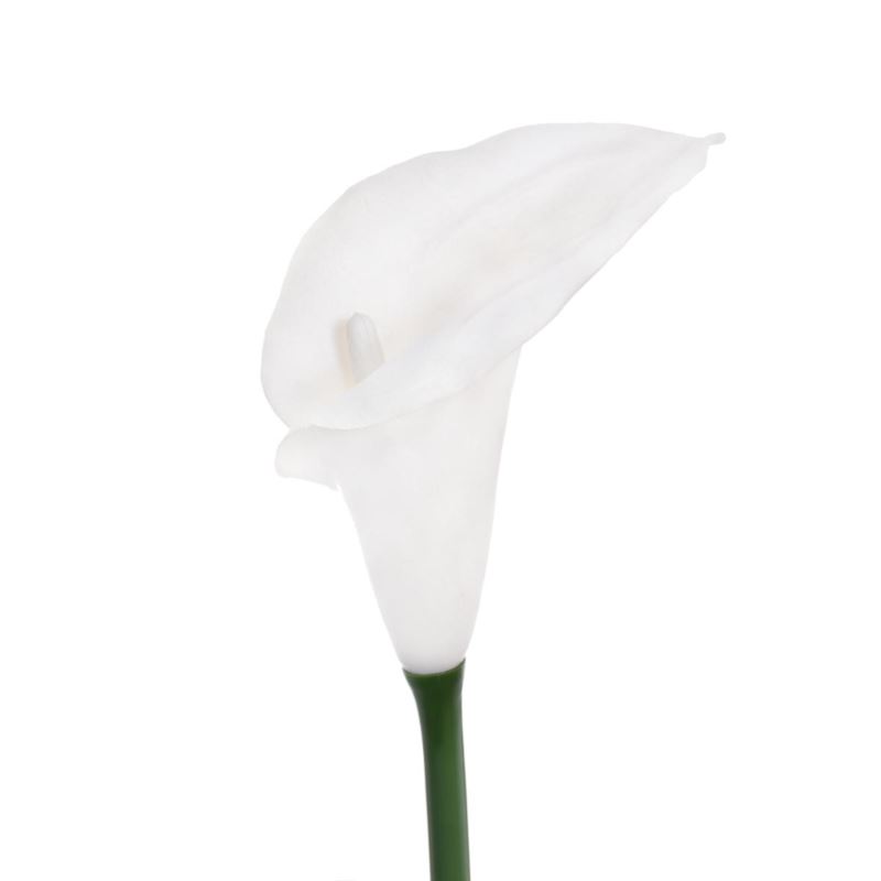 CALLA GUMA 72 CM ANA1013 WHITE