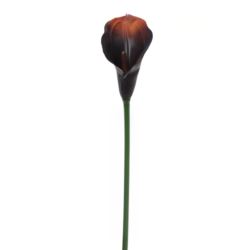 CALLA GUMA 72 CM ANA1013 BURN BROWN